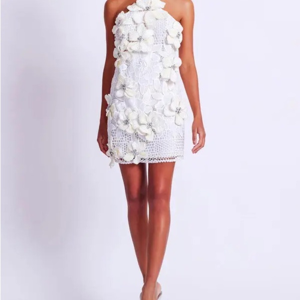 PatBo White and cream Floral Appliqué Lace Mini Dress - Picture 2 of 12